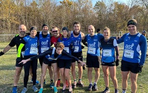 Cross de Vendenheim : VENDENHEIM (67)